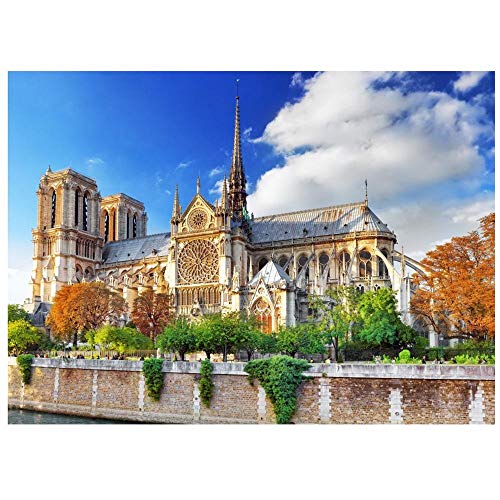 Diamond Painting Kathedrale Notre Dame Für Home Decor Crystal Strass Stickerei Kit Mosaik Vollbohrer Nummer Kit 5D DIY Mosaic Künstlerisches Handwerk Kreuzstich,30X40Cm,Quadrat Drill von Menoal