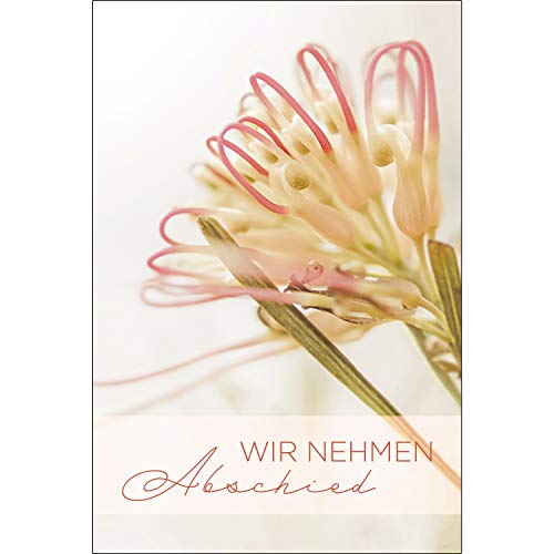 15 Stück Exclusive Premium Trauerkarten (wir nehmen Abschied) Klappkarten mit 15 weißen Umschlägen im Set - Dankekarten (12x18cm) mit Text - Trauer, Beerdigung, Sterbefall Danksagung Danke von Merz Designkarten