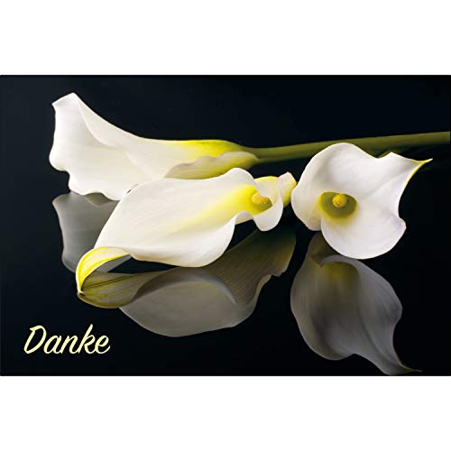 30 Danksagung Premium Trauerkarten Klappkarten mit 30 Umschlägen im Set - Danke - Dankekarten Motiv Blume Trauerkarte Sterbefall Danksagungskarten edler Premiumoffsetdruck von Merz Designkarten