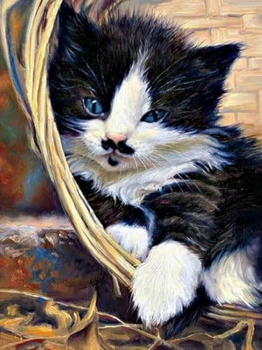 Mesribandy 5D Diamond Painting Kits Tierkatze DIY Diamant Leinwand Kristall Strass Painting nach Zahlen für Kinder Erwachsene Dekorationen 40x50 cm von Mesribandy