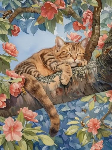 Mesribandy 5D Diamond Painting Kits schlafende Katze DIY Diamant Leinwand Kristall Strass Painting nach Zahlen für Kinder Erwachsene Dekorationen 40x50 cm von Mesribandy