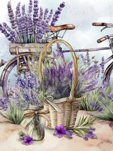 Mesribandy Vorgedruckt Kreuzstich Stickpackungen Fahrrad Lavendel 11CT Sticken Set Erwachsene Kreuzstich, Stickbilder für Anfänger Home Decor 40x50 cm von Mesribandy