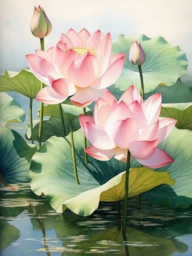 Mesribandy Vorgedruckt Kreuzstich Stickpackungen Lotus 11CT Sticken Set Erwachsene Kreuzstich, Stickbilder für Anfänger Home Decor 40x50 cm von Mesribandy