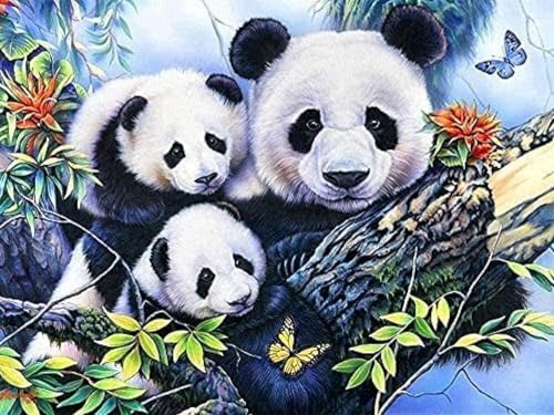 Mesribandy Vorgedruckt Kreuzstich Stickpackungen Tierpanda 11CT Sticken Set Erwachsene Kreuzstich, Stickbilder für Anfänger Home Decor 50x70 cm von Mesribandy