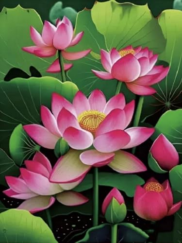 Mesribandy Vorgedruckt Kreuzstich Stickpackungen roter Lotus 11CT Sticken Set Erwachsene Kreuzstich, Stickbilder für Anfänger Home Decor 40x50 cm von Mesribandy