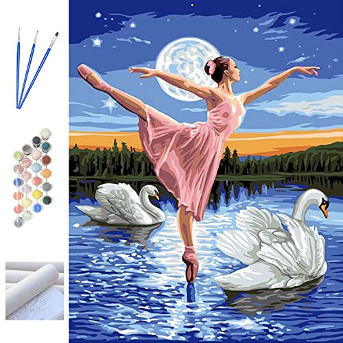 Metuu DIY Kunstölarbeiten Malsets Malen nach Zahlen für Erwachsene und Kinder, Anfänger, digitale Acrylpigmente, bunte Leinwandmalerei 16 x 20 Zoll – Schwanensee und Ballerina (ohne Rahmen) von Metuu