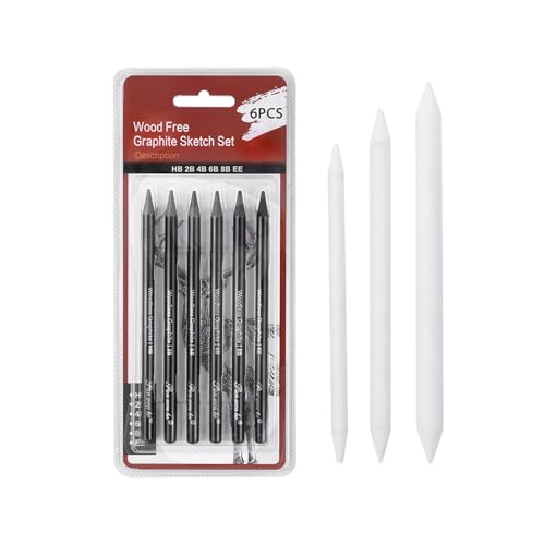 Miayical Kohlestifte Set, Zeichenkohle, Kohlestiften, Papierwischer Set, Kohlestifte für Skizzen, Professionelle Skizzierstifte, Papierwischer Bleistift um Zeichnen für Anfänger und Künstl-6 PCS von Miayical