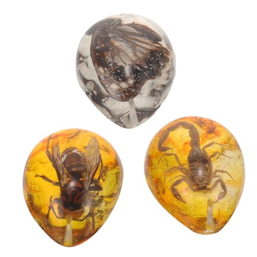 Milisten 3 Stücke Insekten Bernstein Ornament für Sammlung Kunstharz Insekten Proben Anhänger Realistische Selbstgemacht Dekoration für Lernspielzeug und Ausstellungen Milisten 3 Stücke Insekten Bernstein Ornament für Sammlung Kunstharz Insekten Proben Anhänger Realistische Selbstgemacht Dekoration für Lernspielzeug und Ausstellungen von Milisten
