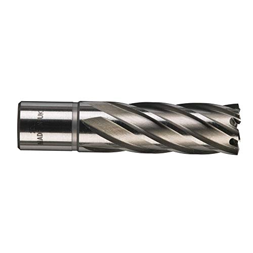 HSS-freeskroon 20 x 50 mm HSS-freeskroon 20 x 50 mm von Milwaukee