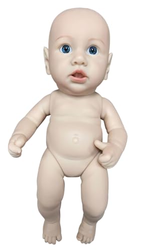 MineeQu 12 Zoll Miniatur Random Kleidung Lebensechte Reborn Baby Puppen in Vinyl gefertigt Ganzkörper Realistische Neugeborene Sammelbare Kunstpuppe Waschbar für Mädchen von MineeQu