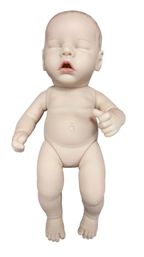 MineeQu 12 Zoll Miniature Gemaltes Haar Schlafendes Baby Lebensechte Reborn Puppen Gefertigt in Vinyl Ganzkörper Realistische Neugeborenes Mädchen Sammelbare Kunstpuppe mit zufälliger Kleidung von MineeQu
