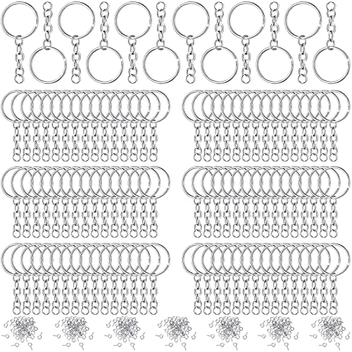 Brateuanoii 360 Stück Schlüsselringe, Schlüsselanhänger Basteln, Schlüsselanhänger Rohlinge, für Schlüssel Handwerk DIY, Schmuckherstellung Silber von Brateuanoii