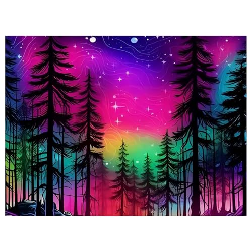 Diamond Painting Sky Aurora,Diamond Painting Erwachsene Landscape,Diamond Art Erwachsene Set Home Wand Dekor for Gift(30x40cm) von Miquans Art