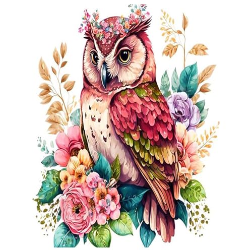 Diamond Painting Tier,Diamond Painting Erwachsene Owl,Diamond Art Erwachsene Set Home Wand Dekor for Gift(30x40cm) von Miquans Art