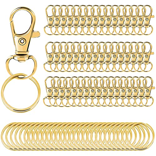 MisFun 100 Stück Schlüsselringe Drehgelenk Karabiner, Schlüsselanhänger Ringe, Schlüsselringe Klein, Schlüsselanhänger Basteln, Schlüsselanhänger Set Selber Machen für Diy Schmuck Handwerk von MisFun