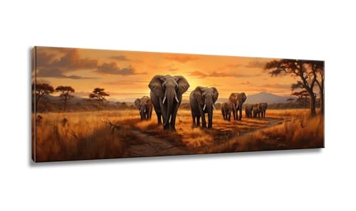 Diamond Painting Erwachsene, Diamond Painting Elefant, Diamond Painting Groß xxl 40x120cm, Diamant Painting Bilder,Sonnenuntergang Diamond Painting Eckige Steine,Diamond Painting für Home Decor MX-109 von Mixmblon