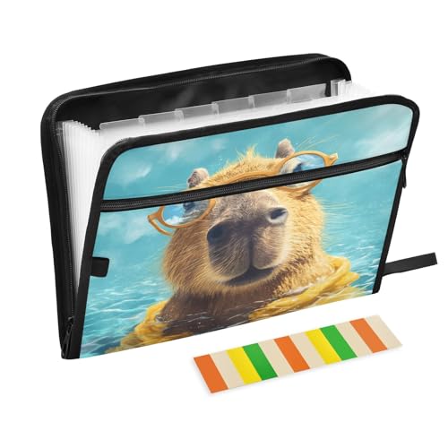 Capybara Fächermappe mit 13 Fächern, Fächermappe mit Fronttasche, tragbar, Business-Aktenaufbewahrung, Dokumenten-Organizer, Ordner mit Reißverschluss Capybara Fächermappe mit 13 Fächern, Fächermappe mit Fronttasche, tragbar, Business-Aktenaufbewahrung, Dokumenten-Organizer, Ordner mit Reißverschluss von Mnsruu