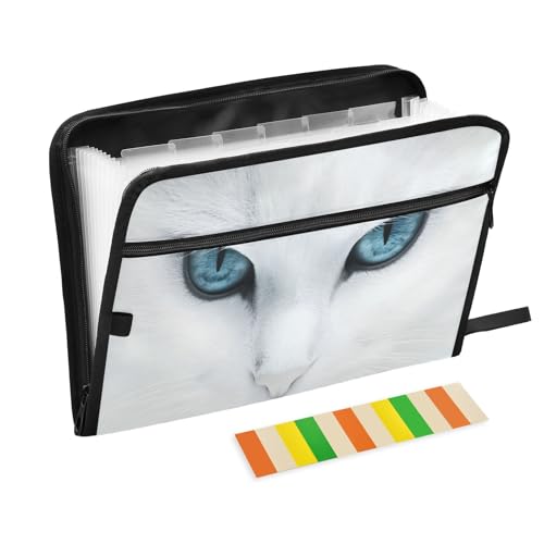 Dokumenten-Organizer mit 13 Fächern, weiße Katze, blaue Augen, Fächermappe mit Vordertasche, tragbare Business-Aktenaufbewahrung, Dokumenten-Organizer, Ordner mit Reißverschluss Dokumenten-Organizer mit 13 Fächern, weiße Katze, blaue Augen, Fächermappe mit Vordertasche, tragbare Business-Aktenaufbewahrung, Dokumenten-Organizer, Ordner mit Reißverschluss von Mnsruu