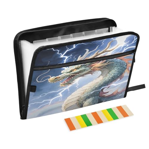 Dragon Lightning Fächermappe mit 13 Fächern, Fächermappe mit Fronttasche, tragbare Business-Dateiaufbewahrung, Dokumenten-Organizer, Ordner mit Reißverschluss Dragon Lightning Fächermappe mit 13 Fächern, Fächermappe mit Fronttasche, tragbare Business-Dateiaufbewahrung, Dokumenten-Organizer, Ordner mit Reißverschluss von Mnsruu