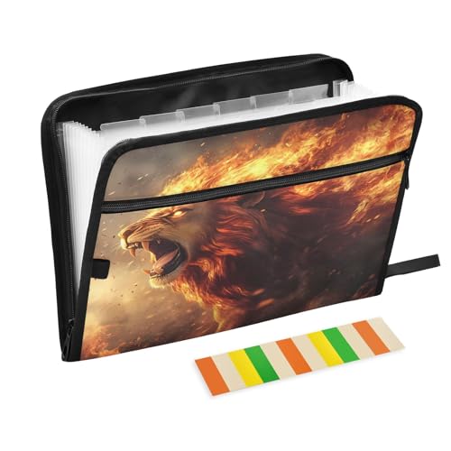 Lion Flame Fächermappe mit 13 Fächern, Fächermappe mit Vordertasche, tragbare Business-Aktenaufbewahrung, Dokumenten-Organizer, Ordner mit Reißverschluss Lion Flame Fächermappe mit 13 Fächern, Fächermappe mit Vordertasche, tragbare Business-Aktenaufbewahrung, Dokumenten-Organizer, Ordner mit Reißverschluss von Mnsruu