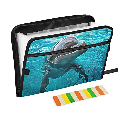 Mnsruu Lustiger Delphin Schwimmen 13 Taschen Fächermappe mit Etiketten, Akkordeon-Aktenordner Aktenordner Brief A4 Papier für Büro Schule Student von Mnsruu