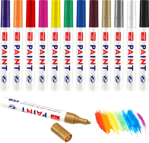 Molain 12 Stück Permanent Marker Stifte, 12 Farben Bunt Permanent Marker Wasserfest Folienstift steine bemalen stifte Permanent Wasserfeste Stifte für Kunststoff, Karton, Holz, Metall, Leinwand von Molain