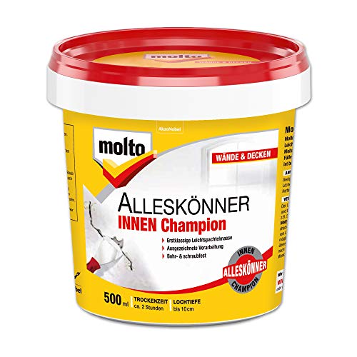 MOLTO ALLESKOENNER INNEN CHAMPION 500ML von Molto