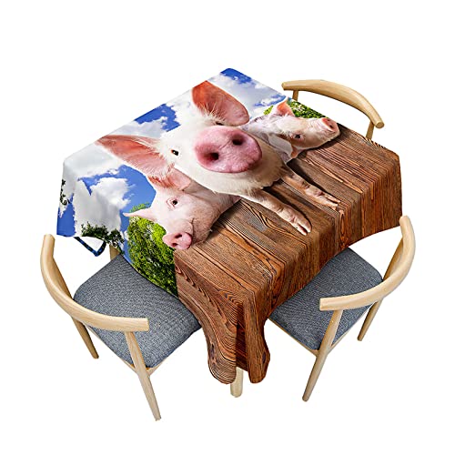 Morbuy Outdoor-Tischdecken Quadratisch, Schwein Muster Tischdecke Wasserdicht Küchentischdecke Abwischbar Fleckschutz Tischtuch für Dekoration Restaurant Garten Party (100x100cm,Weiße Wolken) von Morbuy