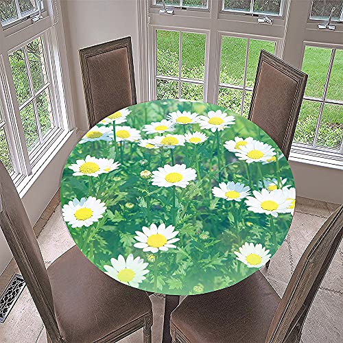 Morbuy Rund Tischdecke Elastisch, 3D Gänseblümchen Rund Tischdecken Wasserdicht Lotuseffekt Abwaschbar Abwischbar Tischtuch für Dekoration Küchentisch Garten Outdoor (Durchmesser 90cm,Blumenfeld) von Morbuy