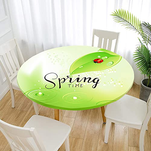 Morbuy Rund Tischdecke Elastisch, Lotuseffekt Tischdecke Abwaschbar Tischdecken Frühling Drucken Gartentischdecke Indoor Outdoor Tischtuch (Durchmesser 120cm,Marienkäfer) von Morbuy