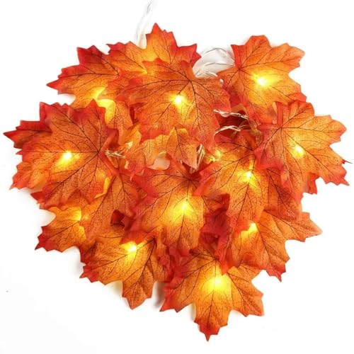 Morofme Ahornblatt Lichterkette 3M 20 LED Erntedankfest Lichter batteriebetrieben Herbst Herbst Blätter Girlande Lichter für Indoor Outdoor Herbst Urlaub Weihnachten Ernte Herbst Thanksgiving Party von Morofme