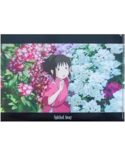 Movic Spirited Away 647029 Dokumentenmappe, A4, transparent von Movic