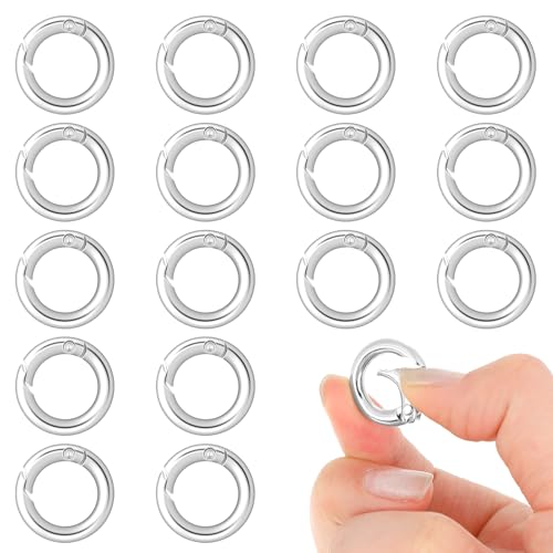 16 Stück Runde Karabiner Silber Metall Karabiner Ring Karabinerhaken Schlüsselbund Zubehör O Ring Legierung Karabinerhaken Für Schlüsselanhänger, Tasche, Schmuck, Handwerk Machen von Mozeat Lens