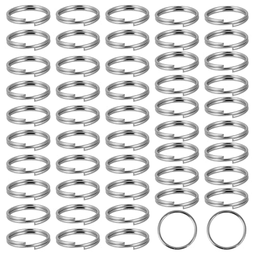 50 Stück 10mm Kleine Schlüsselringe Schlüsselanhänger mit Doppelschlaufen Edelstahl Runde Schlüsselring Silber Spaltringe Split Ringe Schlüsselketten für Schlüssel Organisation, Silber Farbe von Mozeat Lens