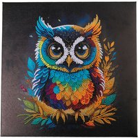 Diamond Painting "Crystal Art Kit", 30 x 30 cm - Owl von Multi