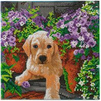 Diamond Painting "Crystal Art Kit" - Floral Pup von Multi