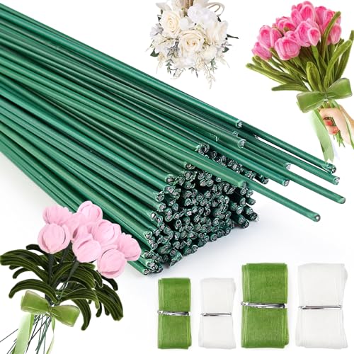 Mumjooyi Basteldraht Grün Blumendraht Floristikdraht 30cm 100 Stück mit Blumenverpackungsband Blumenstamm Draht Grün für Blumenarrangements DIY Blumenbouquets Handwerk Floristendraht von Mumjooyi