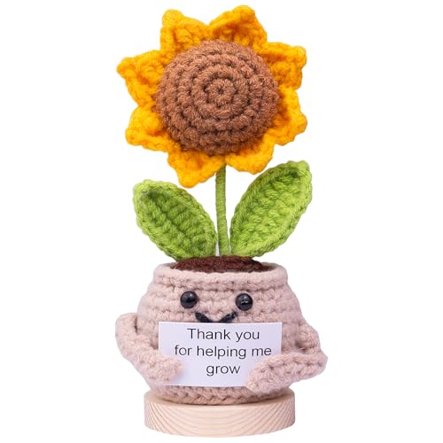 Mwmoeen Pocket Hug Positive Kartoffel Puppe, Lustige Positive Potato Strickpuppe Motivationsgeschenke Beste Freundin Geschenke für Freundin Kleine Geschenke für Frauen(E20) von Mwmoeen