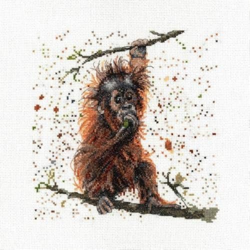 My Cross Stitch BMCS11 Kreuzstich-Zählmuster-Set, Otis der Orang-Utan Bree Merryn, 8"x8" von My Cross Stitch