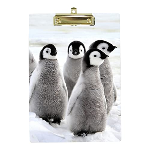 Kunststoff-Klemmbrett A4 Briefgröße Low Profile Clip, niedliche Pinguin-Klemmbretter für Studenten, Schule, Büro, Clipboard 21,8 x 31 cm mit Metall-Loch zum Aufhängen von My Daily