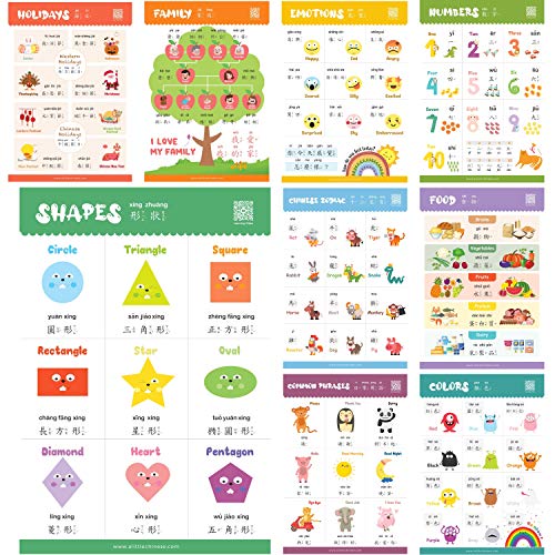 N/A/ Learn Chinese for Kids Poster Set Zweisprachig mit Chinesisch-Englisch Für Babys, Kinder, Kleinkinder und Vorschulkinder. Lernvideos inklusive. Mit traditionellem Chinesisch und Zhuyin. von N/A/