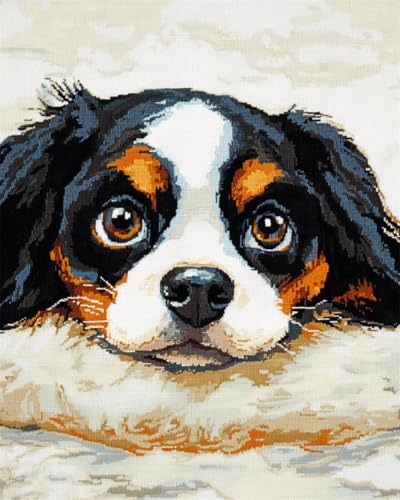 DIY Knüpfteppich Knüpfkissen-Set Mit Tiermotiven Vom Cavalier King Charles Spaniel. Cartoon-Hund. Knüpfteppich-Set Zum Selbermachen，Häkelset Für Anfänger，Teppich-Set Mit Bedruckter Leinwa 55x75cm von N.LANSHAN