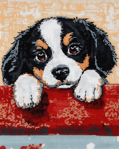 DIY Knüpfteppich Zum Selber Knüpfen Cavalier King Charles Spaniel Tier-Bastelset，Süßer Hund，Diy-Teppichherstellungsset，Kreuzstichset，Teppichherstellung，Handarbeit Für Anfänger，Heimdek 90x120cm von N.LANSHAN