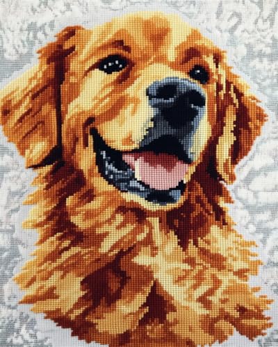 DIY Knüpfteppich Zum Selber Knüpfen Knüpfpackungen Für Kissen Mit Golden Retriever-Tiermotiv，Knüpfpackungen Für Teppiche Mit Fantasie-Hunden，Diy-Handarbeit，Kreuzstichpackung，Bastelpacku 60x90cm von N.LANSHAN