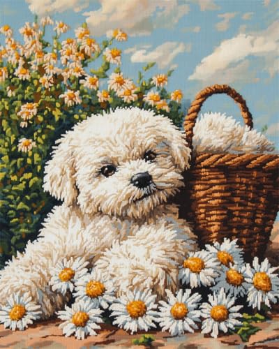 Diy Knüpfen Set Teppich Bichon Frise Tierteppich-Set，Knüpfhaken，Hund Und Blumenkorb，Diy-Teppichherstellung，Bastelset Mit Farbig Bedruckter Leinwand，Häkelstickerei，Teppich-Set，Heimde 90x120cm von N.LANSHAN