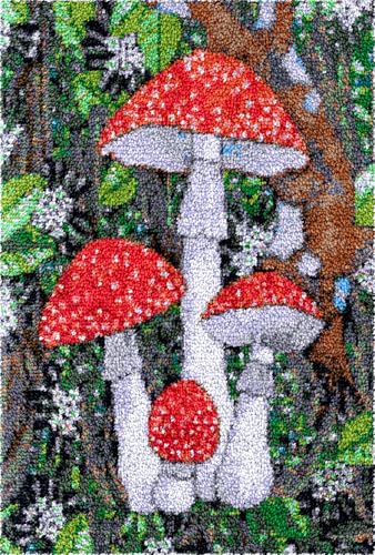 Diy Knüpfteppich Zum Selber Knüpfen Cartoon Pilz Knüpfhaken Teppich Set Waldlandschaft Diy Teppichherstellung Kits Für Erwachsene Anfänger Gobelin Kits Sticksets Teppich Fußmatte Geschenk 35x46in von N.LANSHAN