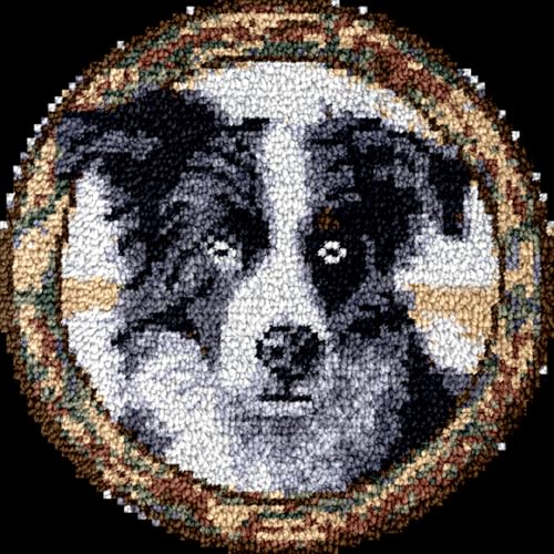 Diy Knüpfteppich Zum Selber Knüpfen Knüpfhaken-Set Für Runden Teppich，Border-Collie-Tier，Diy-Knüpfhaken-Teppich，Heimteppich-Teppich-Herstellungs-Kits Aus Canvas，Knüpfhaken-Sets Für Anf 23x23in von N.LANSHAN