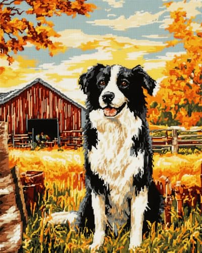 Diy Knüpfteppich Zum Selber Knüpfen Knüpfset Für Teppiche Mit Border-Collie-Tiermotiv，Farm Dog，Diy-Knüpfset Für Teppiche，Häkelset Für Anfänger，Teppich-Set Mit Bedruckter Leinwand，Gesc 90x120cm von N.LANSHAN