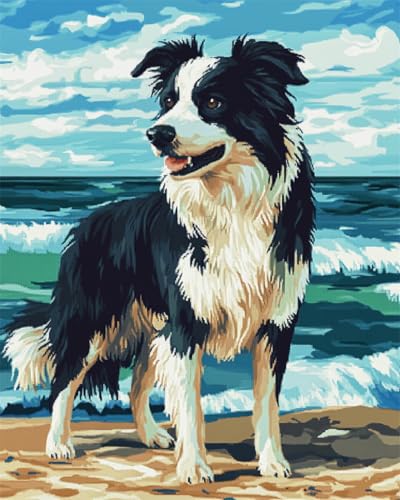 Diy Teppich Knüpfen Set Knüpfkissen-Set Mit Border-Collie-Tiermotiv，Hund Am Strand，Diy-Teppichherstellung，Bastelset Mit Farbig Bedruckter Leinwand，Häkelstickerei，Teppich-Set，Heimdeko 90x120cm von N.LANSHAN