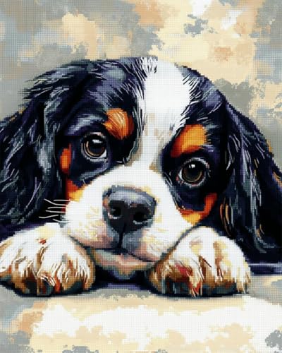 Diy-Teppich Knüpfstern Cavalier King Charles Spaniel Knüpfpackung Mit Tiermotiv，Cartoon-Hund，Knüpfpackung Für Teppiche Für Erwachsene Und Kinder，Kreuzstichpackung，Teppichherstellung，K 100x140cm von N.LANSHAN